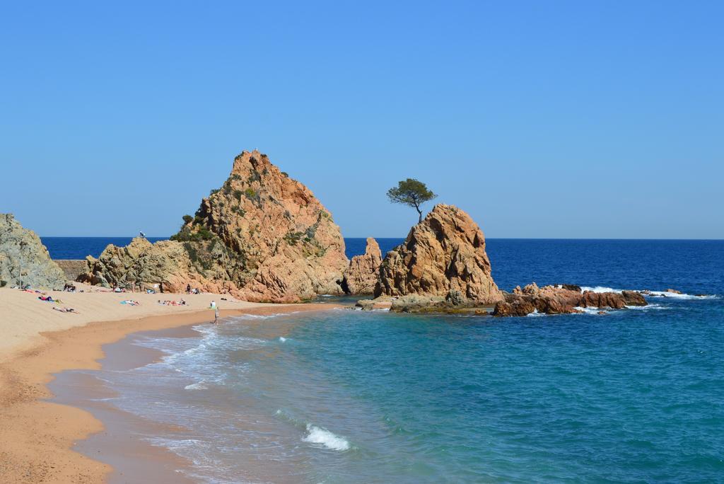 Blanca Paloma - Holiday House Villa Tossa de Mar Cameră foto